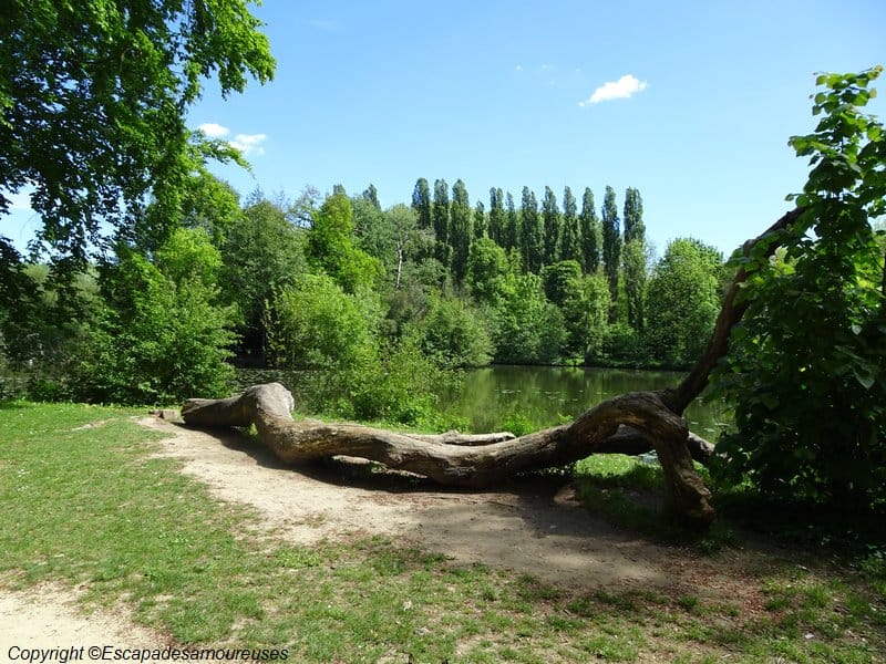 Promenade au Parc du château de Grouchy 6 parcdegrouchy11