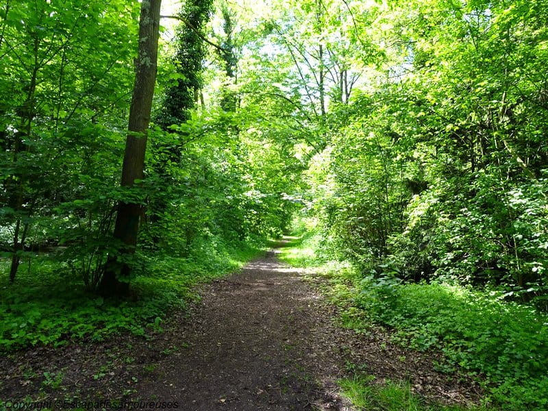 Promenade au Parc du château de Grouchy 4 parcdegrouchy12