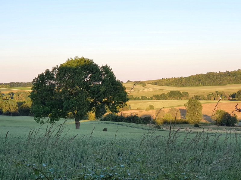 Un week-end à la campagne en Picardie (60). 15 le verger de la linotte un week-end à la campagne dans l'oise picardie