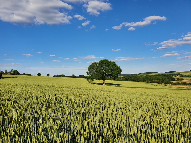 Un week-end à la campagne en Picardie (60). 16 le verger de la linotte un week-end à la campagne dans l'oise picardie