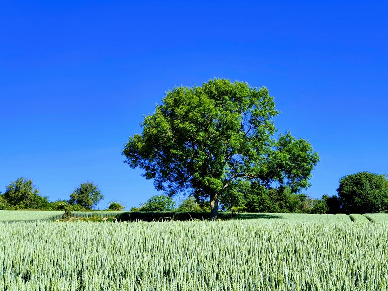 Un week-end à la campagne en Picardie (60). 20 le verger de la linotte un week-end à la campagne dans l'oise picardie