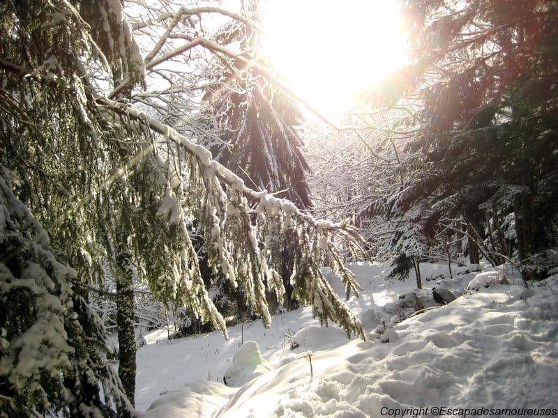 Le jour où j'ai préféré les Vosges. 55 gerardmer12