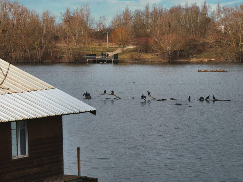 Les chalets flottants de l'étang de la Galiotte. 7 les chalets flottants de l'étang de la Galiotte Escapades amoureuses
