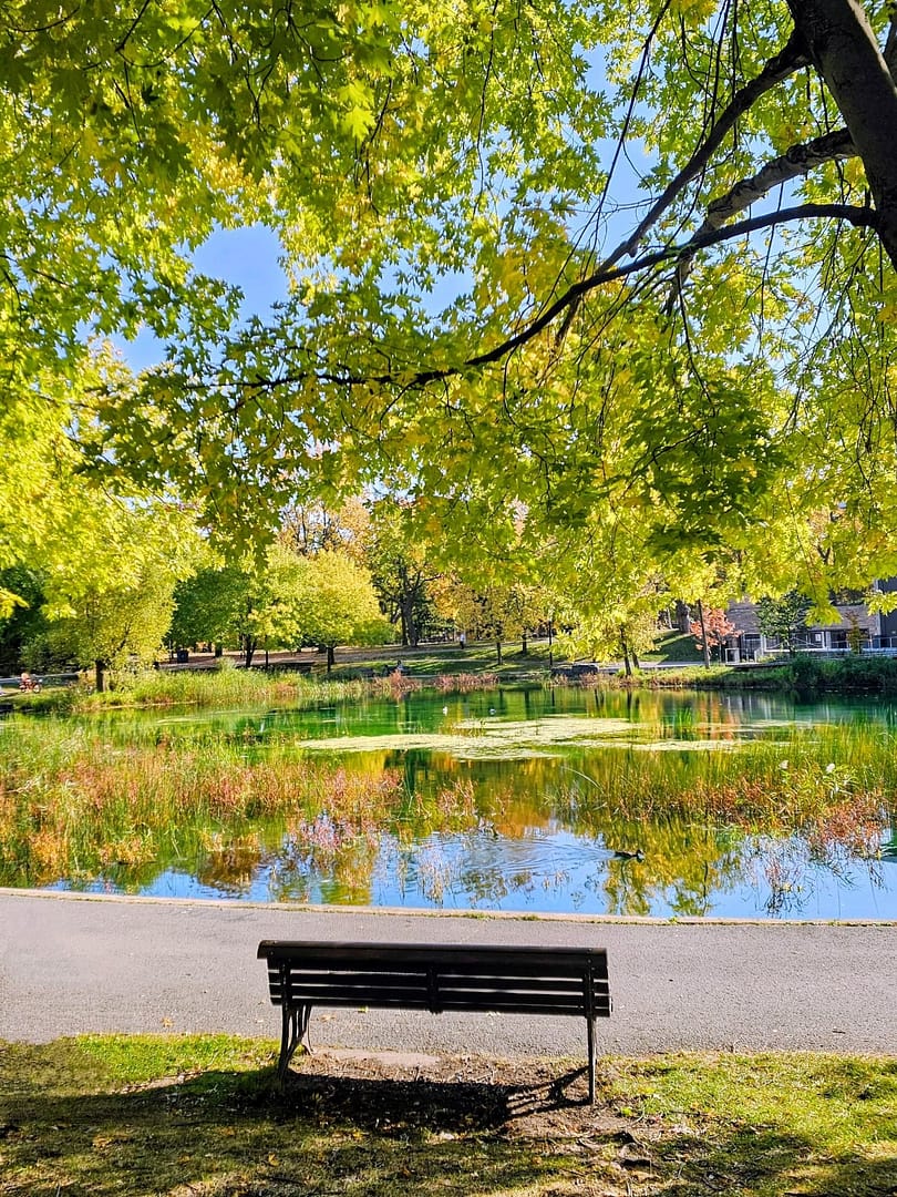 Le Plateau-Mont-Royal : Mon coup de cœur automnal à Montréal 6 Banc au bord d'un étang paisible. montreal