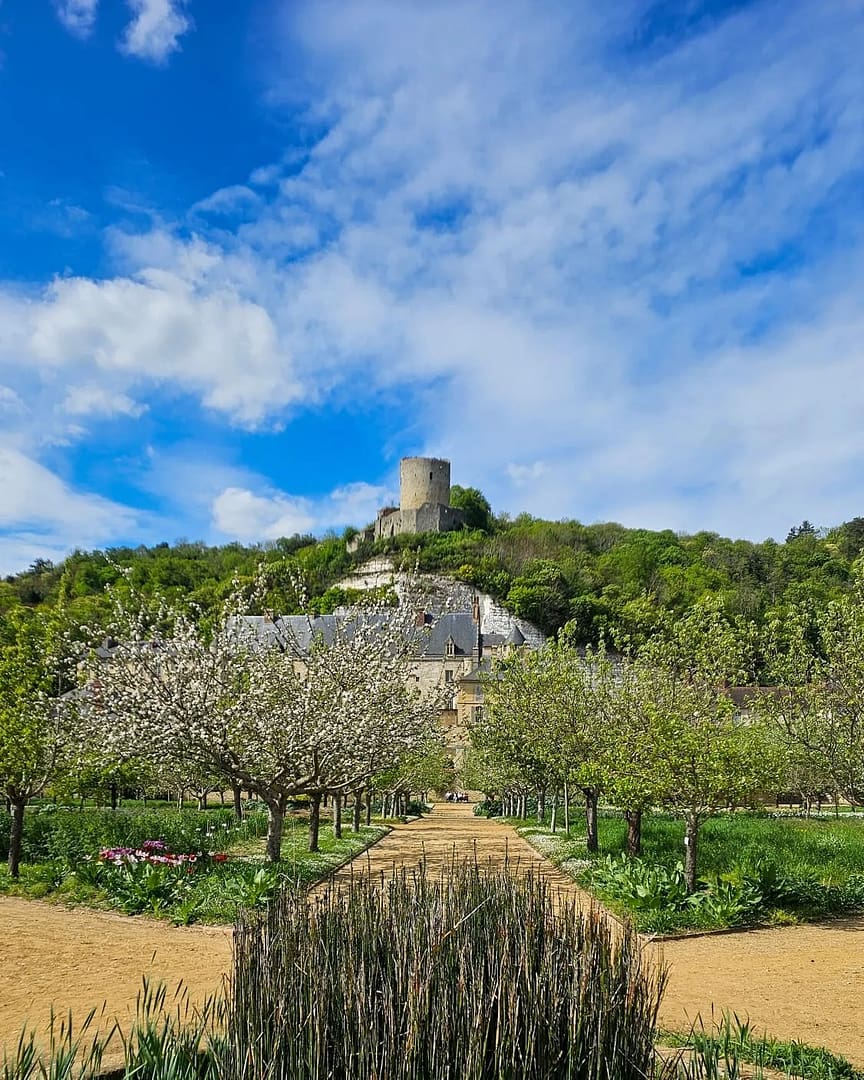 Visiter le Château de la Roche-Guyon : sortie d'un jour près de Paris 4 Le Château de la Roche Guyon dans le Val d'Oise