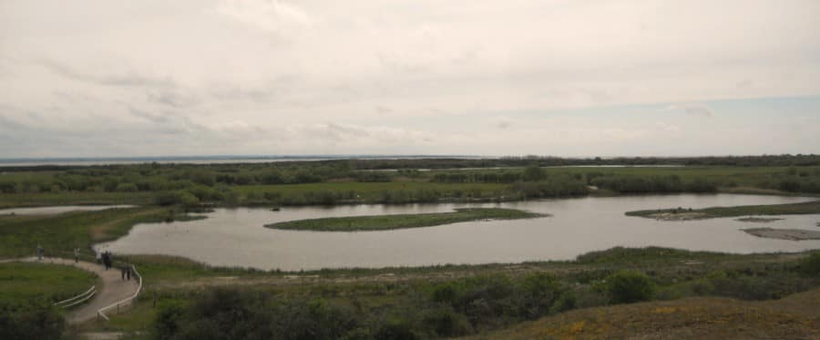Au Parc du Marquenterre en Baie de Somme 1 marquenterre 07