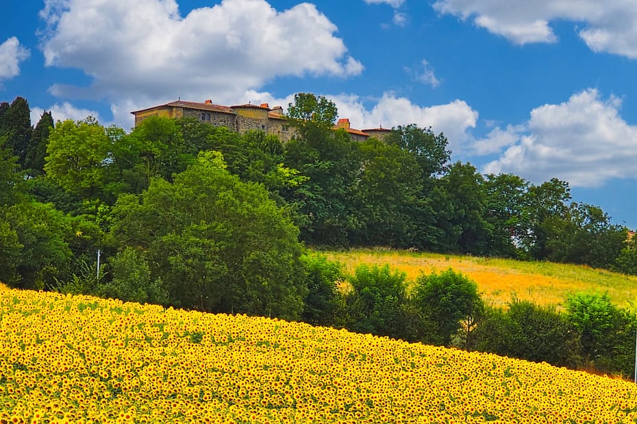 Château médiéval chambre d'hôte Aude : Mézerville