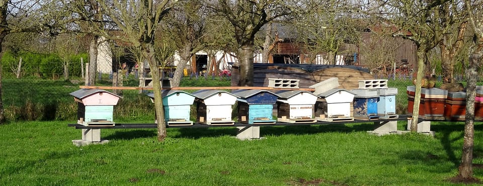 Séjour au calme au fil de l'eau 5 aufildeleau14