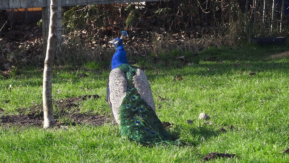 Séjour au calme au fil de l'eau 3 aufildeleau16