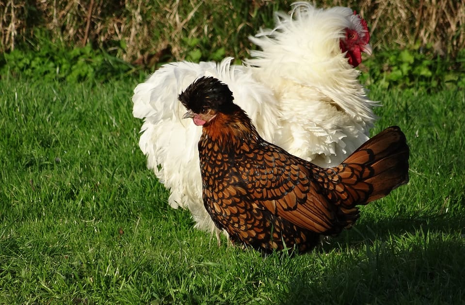 Séjour au calme au fil de l'eau 4 aufildeleau13