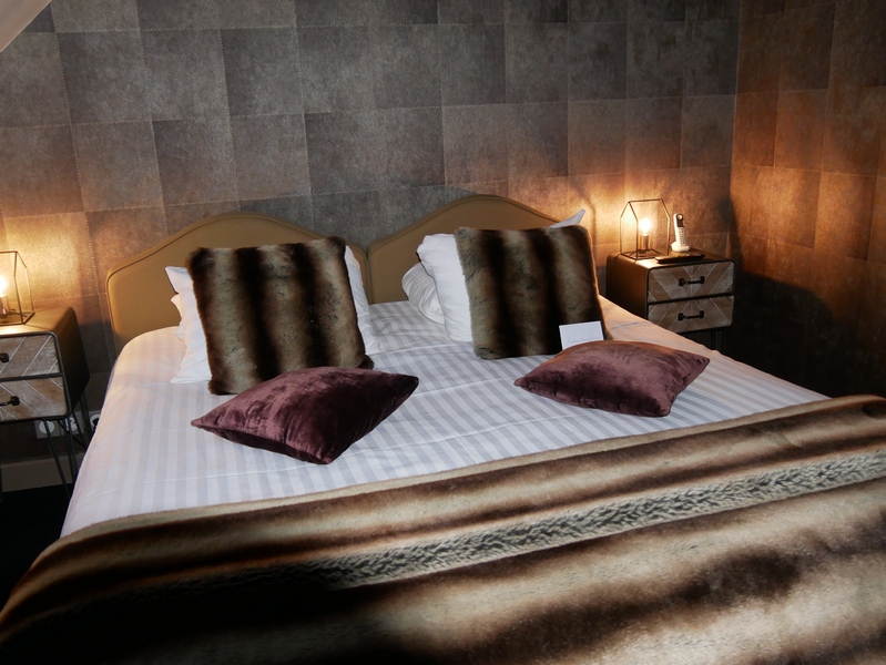 Séjour en amoureux dans l'Aisne. 25 DOMAINEDEBARIVE09